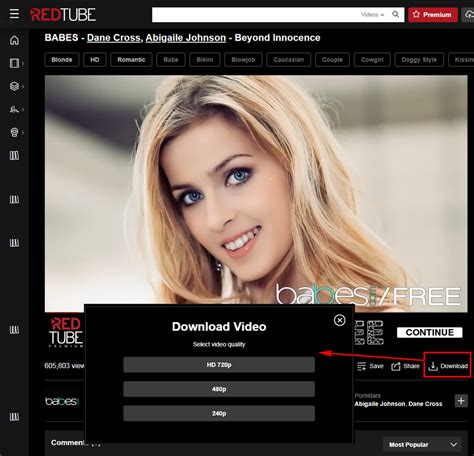 redtube downloder